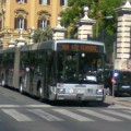 bus_roma