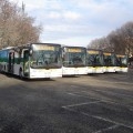I nuovi bus MAN Lion’s City L di Novara