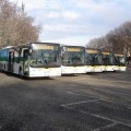I nuovi bus MAN Lion’s City L di Novara I nuovi bus MAN Lion’s City L di Novara