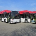 I bus MAN A21 di Seta Reggio Emilia rinnovati - Foto SETA